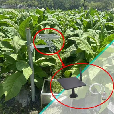 Application of Solar-Powered Level Monitoring System in Flue-Cured Tobacco Farmland